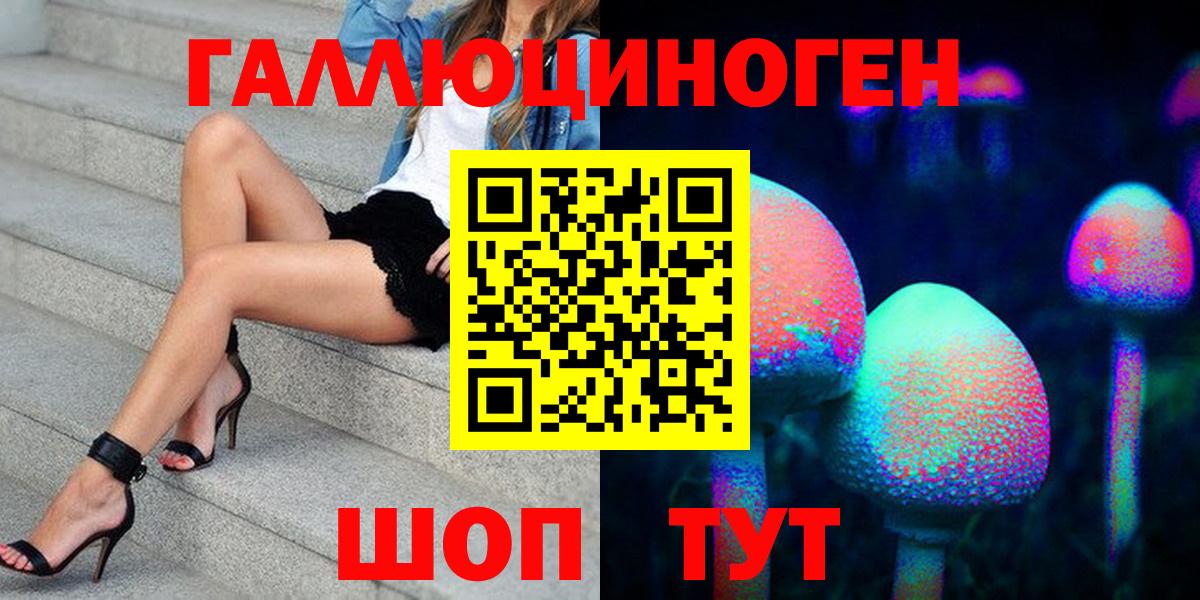 Псилоцибиновые грибы Psilocybe  Будённовск  Псилоцибиновые грибы Cubensis 