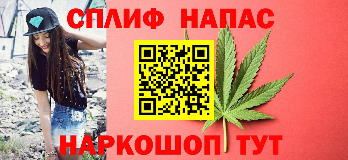 Бошки марихуана семена Будённовск