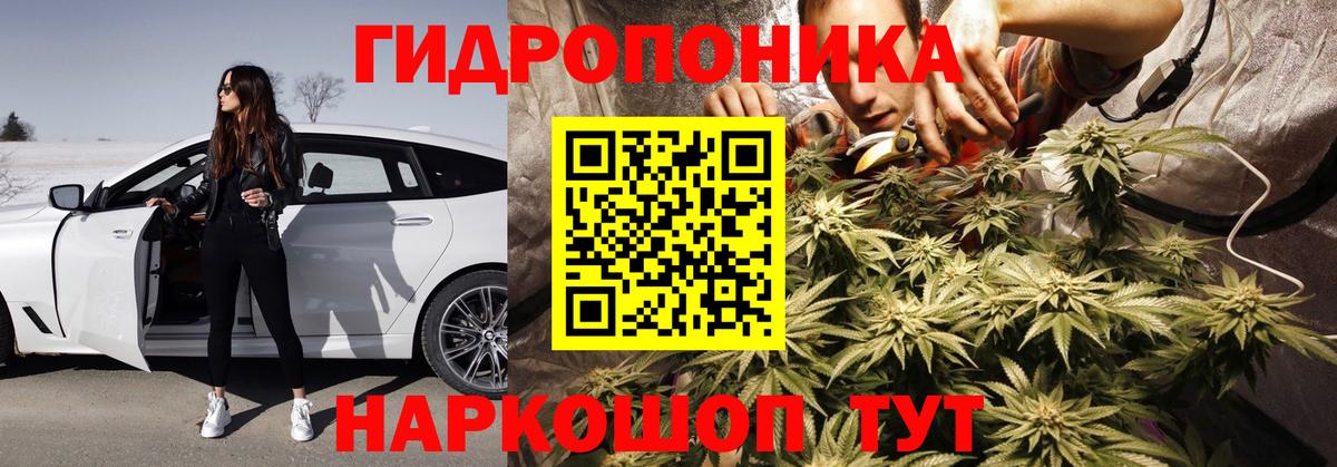 Шишки марихуана планчик Будённовск
